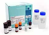 EndoZyme® recombinant Factor C (rFC) Assay